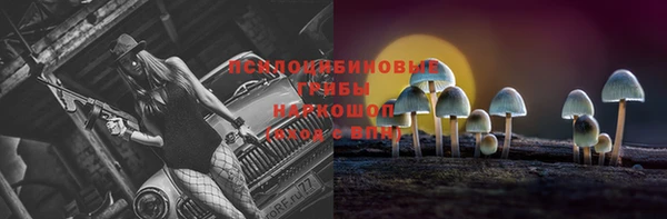 дмт Заволжск