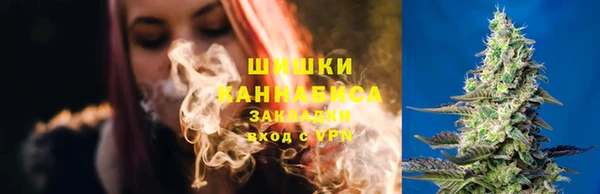молекула духа Заволжье