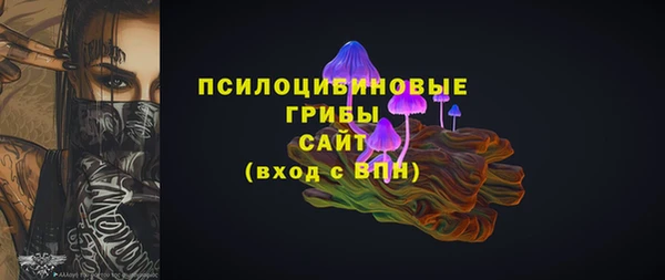 молекула духа Заволжье
