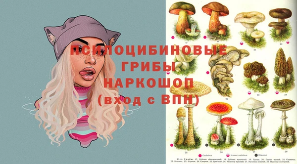 ешки Заводоуковск