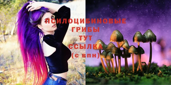 ешки Заводоуковск