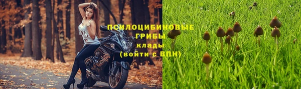 дмт Заволжск